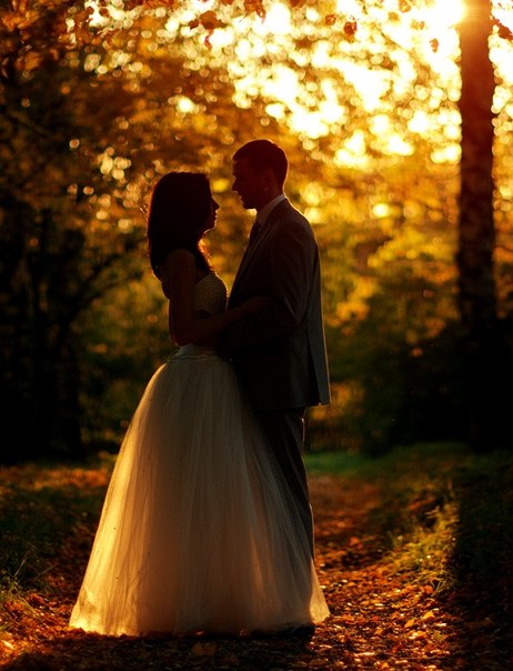 http://weddingplanner.ucoz.net/CCFnvBYQhYw.jpg